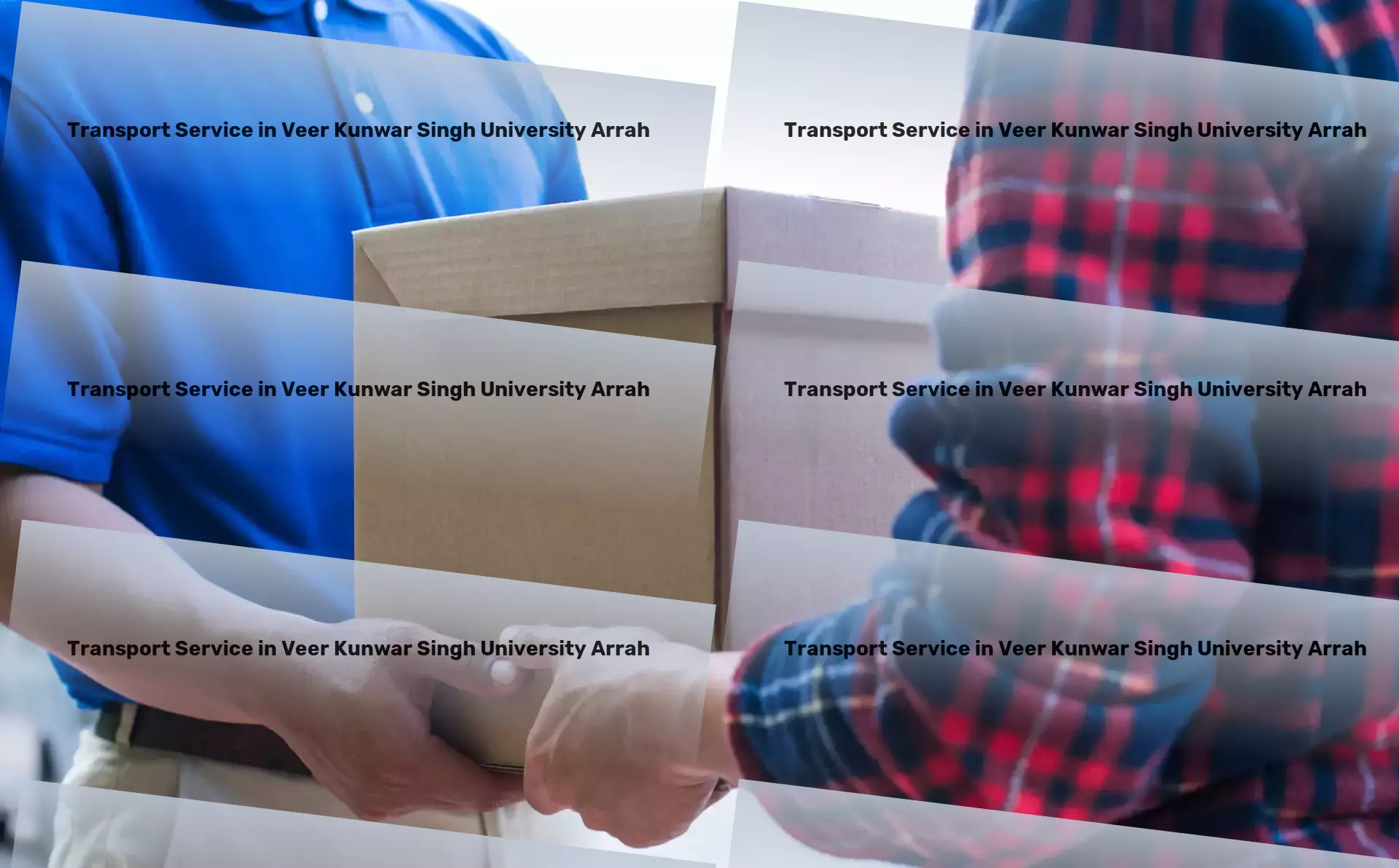 Courier And Parcel in Veer Kunwar Singh University Arrah, Bihar (BR) Special cargo delivery